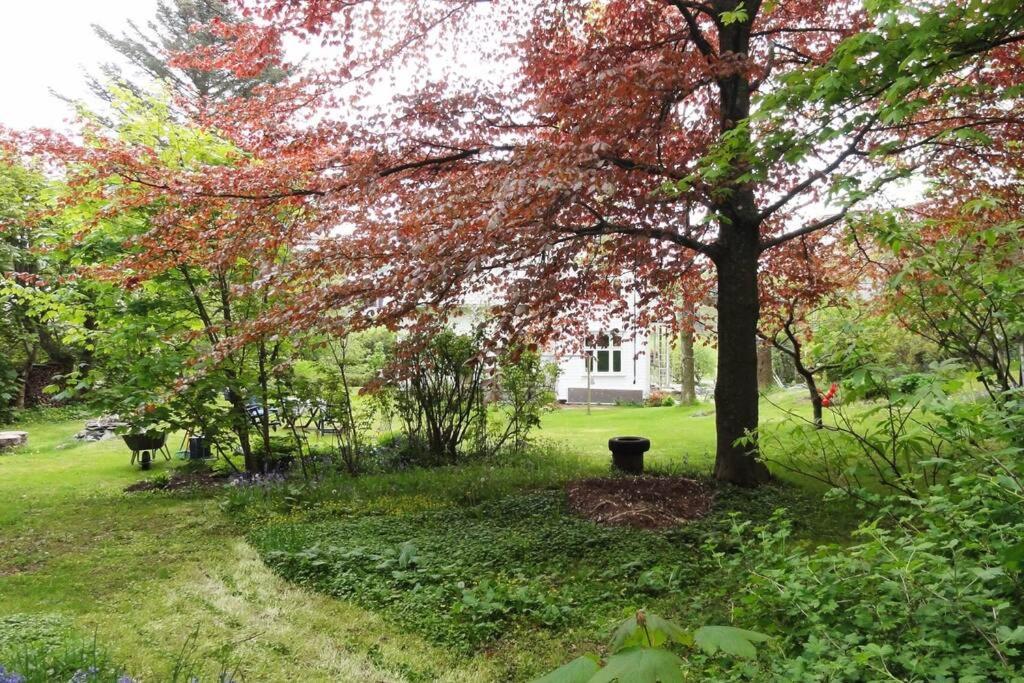 Charming Flat In Cosy Farmhouse Skudeneshavn Εξωτερικό φωτογραφία